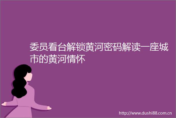 委员看台解锁黄河密码解读一座城市的黄河情怀