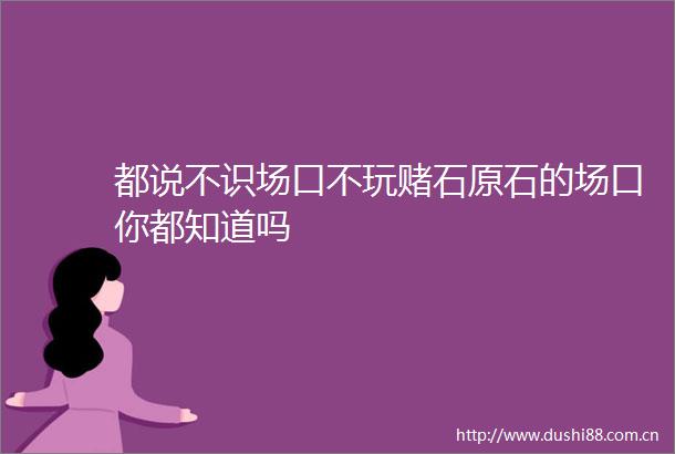都说不识场口不玩赌石原石的场口你都知道吗