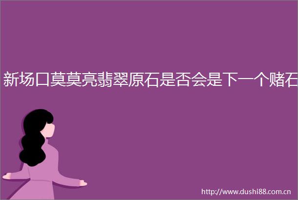 新场口莫莫亮翡翠原石是否会是下一个赌石