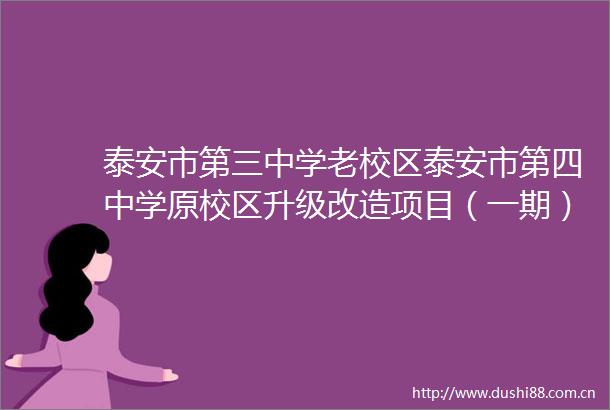 泰安市第三中学老校区泰安市第四中学原校区升级改造项目（一期）监理服务成交结果公告