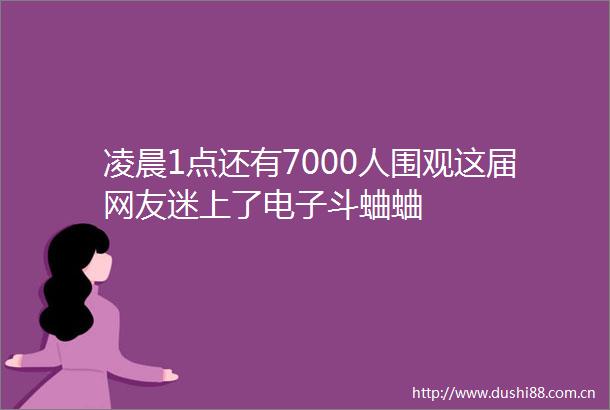 凌晨1点还有7000人围观这届网友迷上了电子斗蛐蛐