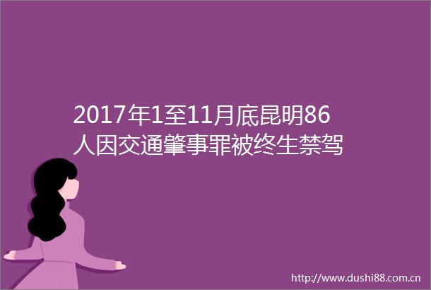 2017年1至11月底昆明86人因交通肇事罪被终生禁驾