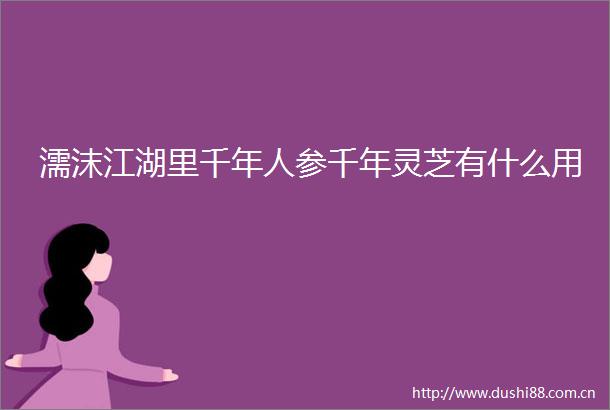 濡沫江湖里千年人参千年灵芝有什么用