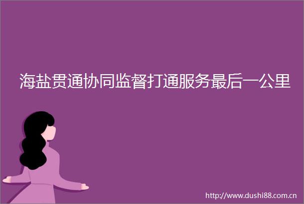 海盐贯通协同监督打通服务最后一公里