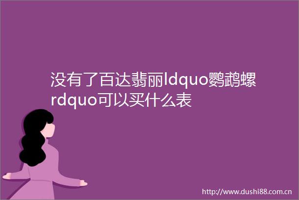 没有了百达翡丽ldquo鹦鹉螺rdquo可以买什么表
