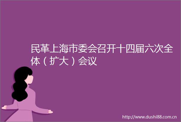民革上海市委会召开十四届六次全体（扩大）会议