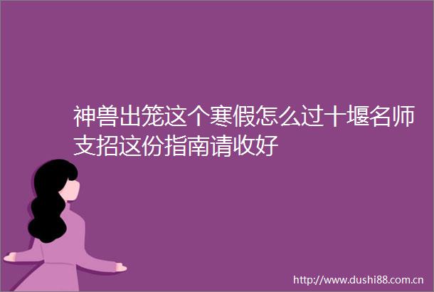 神兽出笼这个寒假怎么过十堰名师支招这份指南请收好