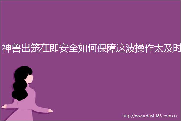 神兽出笼在即安全如何保障这波操作太及时