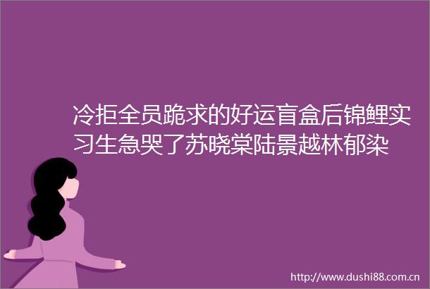 冷拒全员跪求的好运盲盒后锦鲤实习生急哭了苏晓棠陆景越林郁染