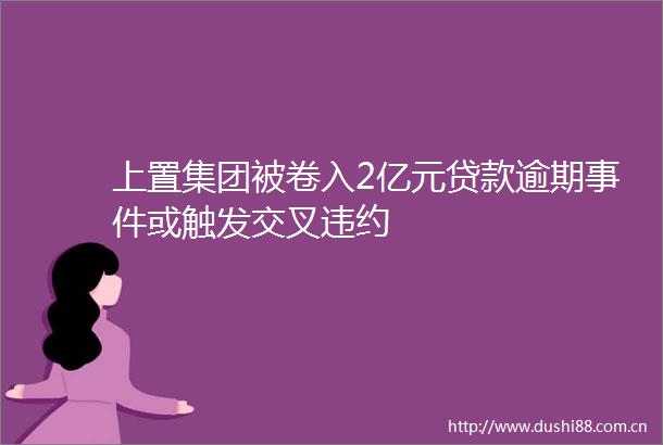 上置集团被卷入2亿元逾期或触发交叉违约
