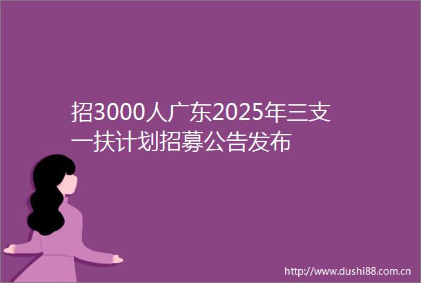 招3000人广东2025年三支一扶计划招募公告发布