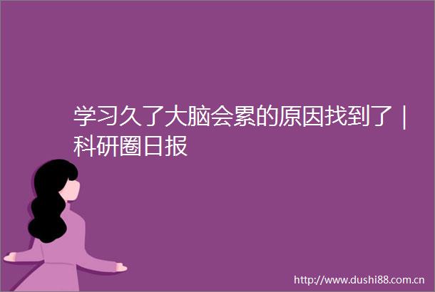 学习久了大脑会累的原因找到了｜科研圈日报