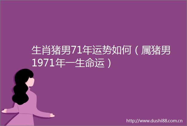 生肖猪男71年运势如何（属猪男1971年一生命运）