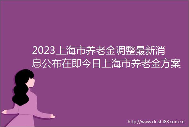 2023上海市养老金调整最新消息公布在即今日上海市养老金方案细则公布了吗