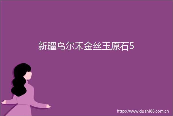新疆乌尔禾金丝玉原石5
