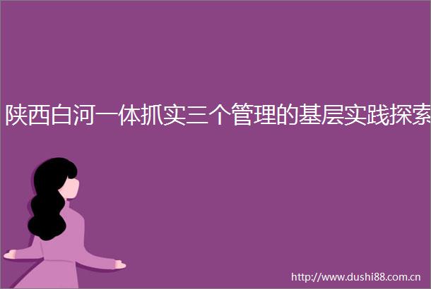 陕西白河一体抓实三个管理的基层实践探索