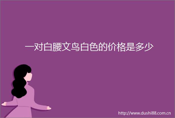 一对白腰文鸟白色的价格是多少