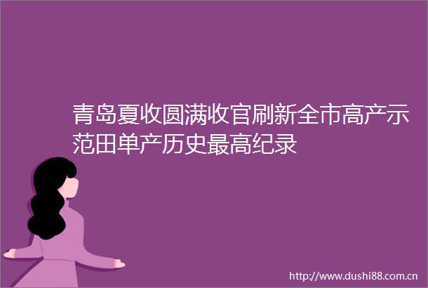 青岛夏收圆满收官刷新全市高产示范田单产历史最高纪录