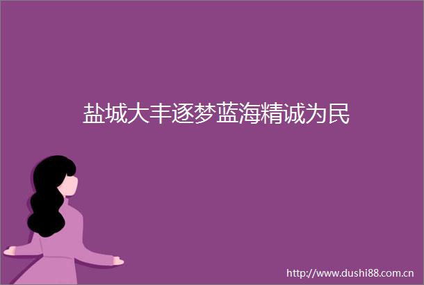盐城大丰逐梦蓝海精诚为民