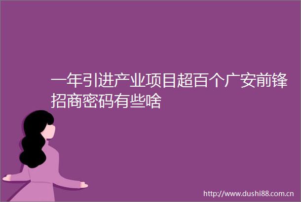 一年引进产业项目超百个广安前锋招商密码有些啥