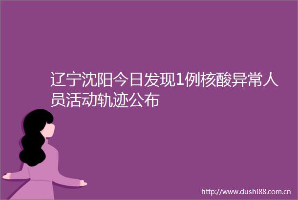 辽宁沈阳今日发现1例核酸异常人员活动轨迹公布