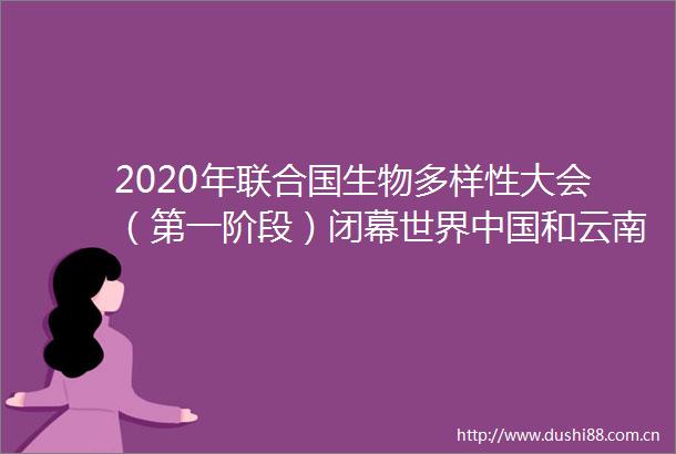 2020年联合国生物多样性大会（第一阶段）闭幕世界和云南收获了什么
