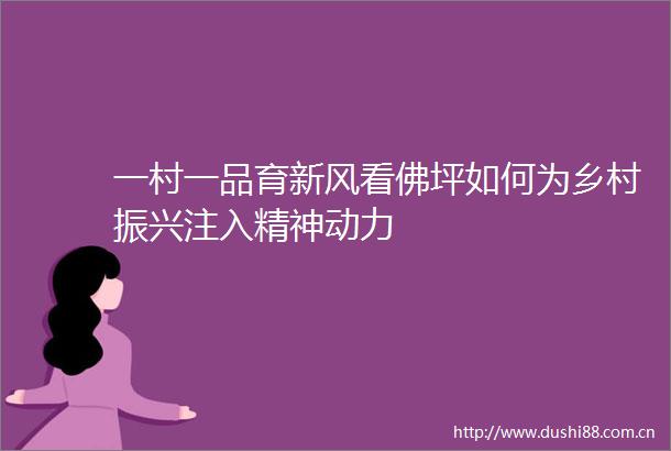 一村一品育新风看佛坪如何为乡村振兴注入精神动力