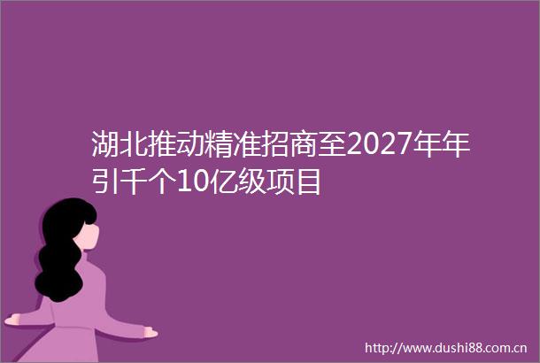 湖北推动精准招商至2027年年引千个10亿级项目