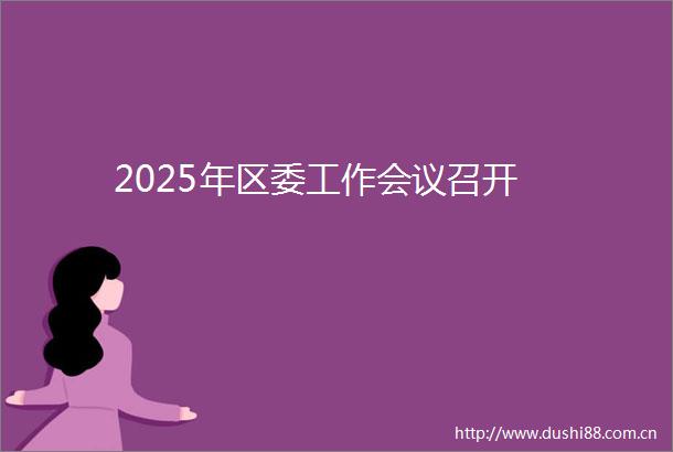 2025年区委工作会议召开
