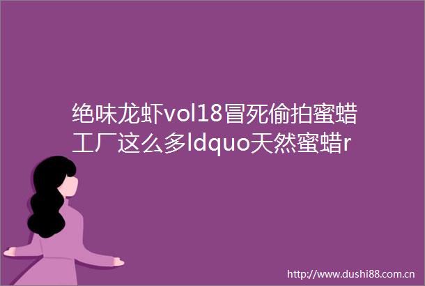 绝味龙虾vol18冒死蜜蜡工厂这么多ldquo天然蜜蜡rdquo全都是假的