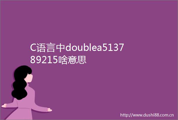 C语言中doublea513789215啥意思
