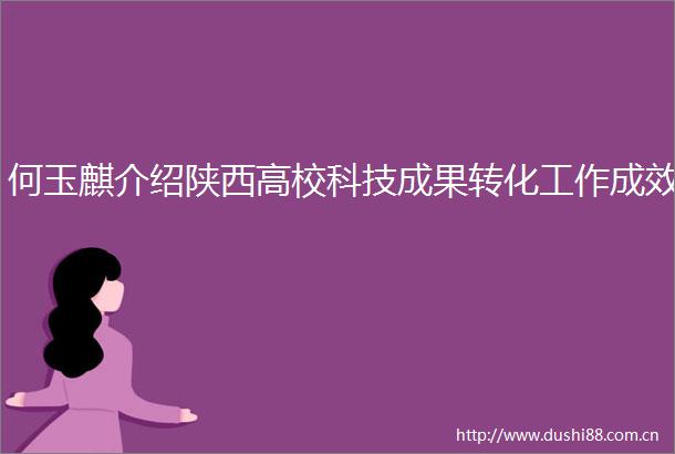 何玉麒介绍陕西高校科技成果转化工作成效