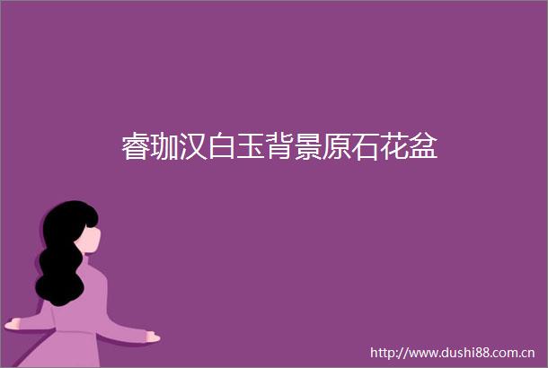 睿珈汉白玉背景原石花盆