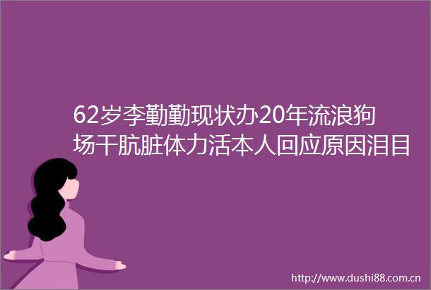 62岁李勤勤现状办20年流浪狗场干肮脏体力活本人回应原因泪目