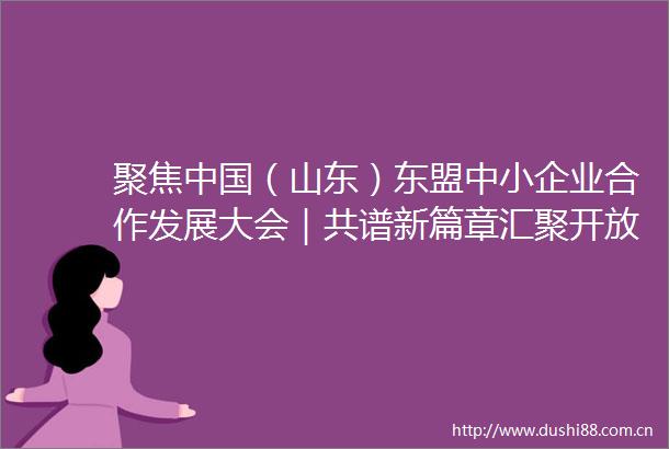 聚焦（山东）东盟中小企业合作发展大会｜共谱新篇章汇聚开放合作强大动能