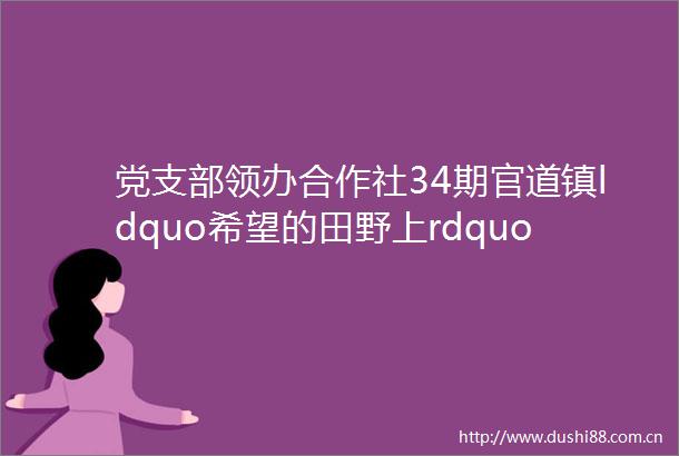党支部领办合作社34期官道镇ldquo希望的田野上rdquo播种乡村振兴新希望