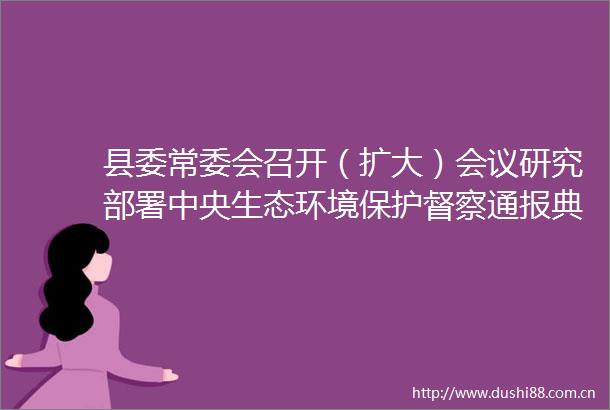 县委常委会召开（扩大）会议研究部署中央生态环境保护督察通报典型案例整改工作