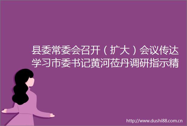 县委常委会召开（扩大）会议传达学习市委书记黄河莅丹调研指示精神研究部署我县贯彻落实意见