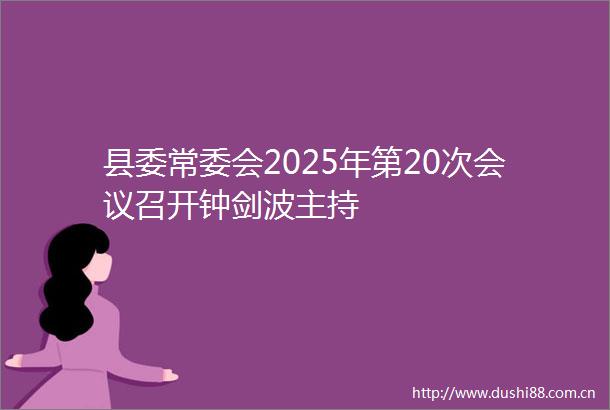 县委常委会2025年第20次会议召开钟剑波主持