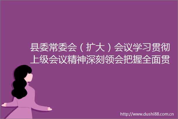 县委常委会（扩大）会议学习贯彻上级会议精神深刻领会把握全面贯彻落实推动式现代化在平阳的生动实践
