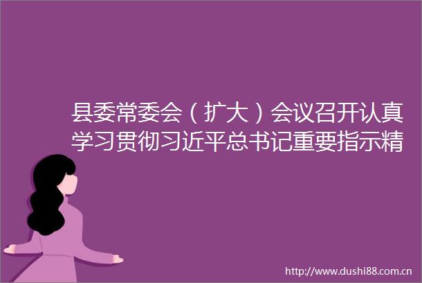 县委常委会（扩大）会议召开认真学习贯彻总书记重要指示精神研究部署灾后重建和经济工作