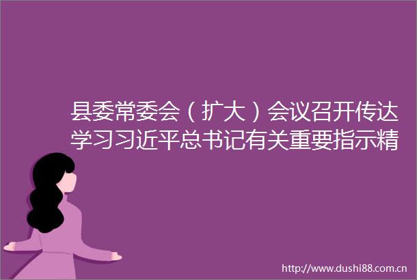 县委常委会（扩大）会议召开传达学习总书记有关重要指示精神和中央有关会议精神研究我县贯彻落实意见