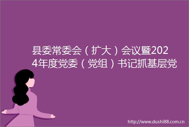 县委常委会（扩大）会议暨2024年度党委（党组）书记抓基层党建工作述职评议会议召开