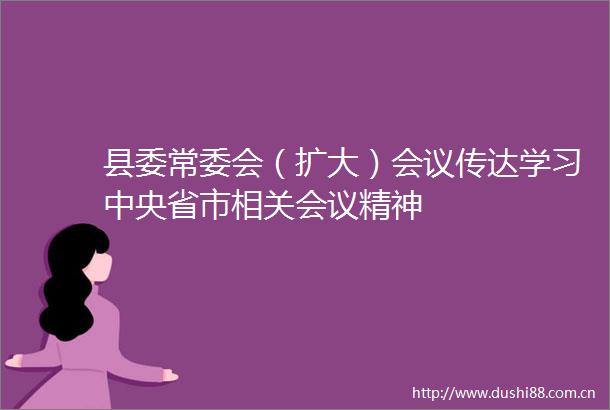 县委常委会（扩大）会议传达学习中央省市相关会议精神