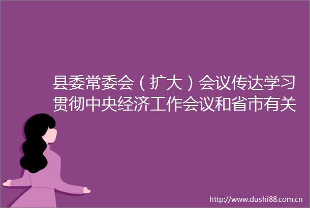 县委常委会（扩大）会议传达学习贯彻中央经济工作会议和省市有关会议精神