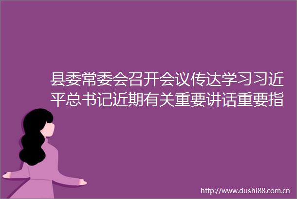 县委常委会召开会议传达学习总书记近期有关重要讲话重要指示精神和全国全省全市有关会议精神研究我县贯彻落实意见