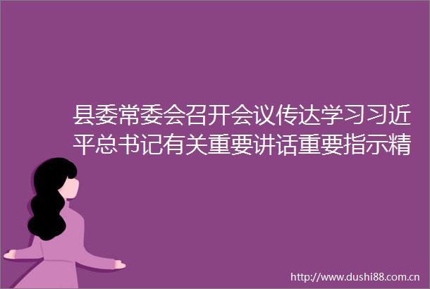 县委常委会召开会议传达学习总书记有关重要讲话重要指示精神和中央和省市有关会议精神研究我县贯彻落实意见