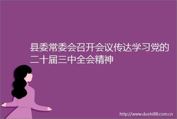 县委常委会召开会议传达学习党的二十届三中全会精神
