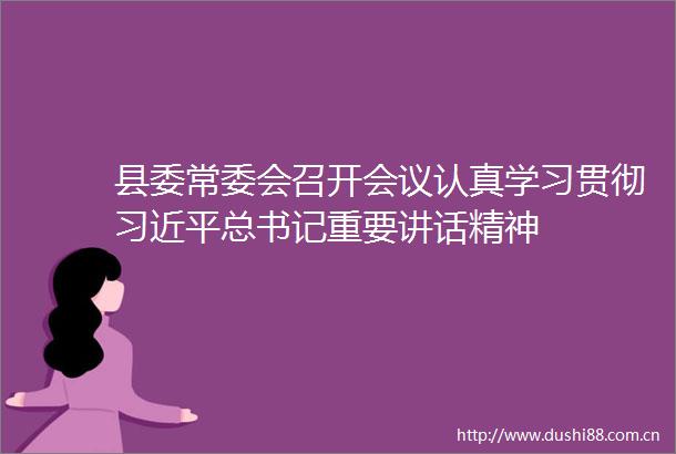 县委常委会召开会议认真学习贯彻总书记重要讲话精神