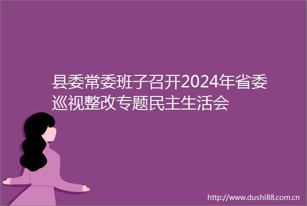 县委常委班子召开2024年省委巡视整改专题民主生活会